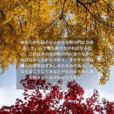 Picture 05 - 申命記 22:24 JPN - あなたがたはそのふたりを町の門に - Bible Verse Picture