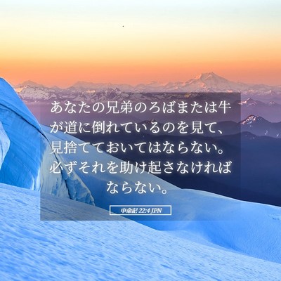 Picture 05 - 申命記 22:4 JPN - あなたの兄弟のろばまたは牛が道に - Bible Verse Picture