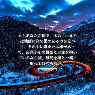 Picture 05 - 申命記 22:6 JPN - もしあなたが道で、木の上、または - Bible Verse Picture
