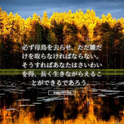 Picture 05 - 申命記 22:7 JPN - 必ず母鳥を去らせ、ただ雛だけを取 - Bible Verse Picture