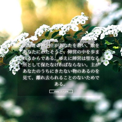 Picture 05 - 申命記 23:14 JPN - あなたの神、主があなたを救い、敵 - Bible Verse Picture