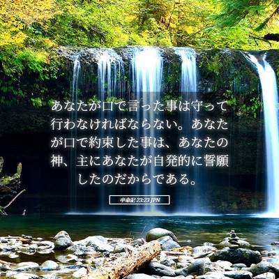 Picture 05 - 申命記 23:23 JPN - あなたが口で言った事は守って行わ - Bible Verse Picture