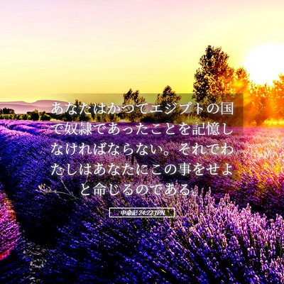 Picture 05 - 申命記 24:22 JPN - あなたはかつてエジプトの国で奴隷 - Bible Verse Picture