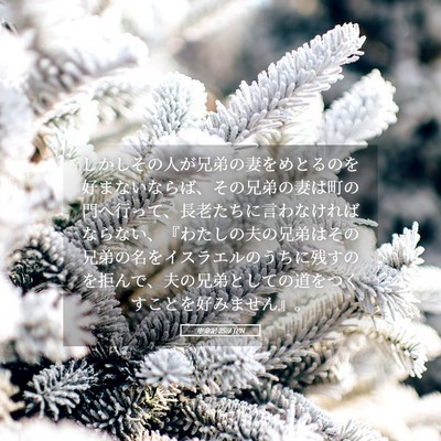 Picture 05 - 申命記 25:7 JPN - しかしその人が兄弟の妻をめとるの - Bible Verse Picture