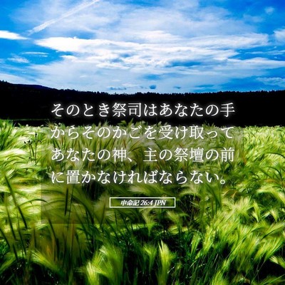 Picture 05 - 申命記 26:4 JPN - そのとき祭司はあなたの手からその - Bible Verse Picture