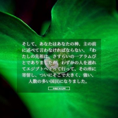 Picture 05 - 申命記 26:5 JPN - そして、あなたはあなたの神、主の - Bible Verse Picture