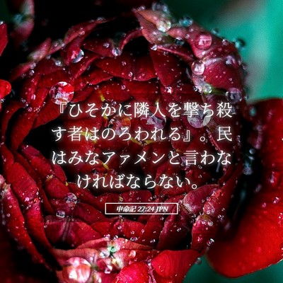 Picture 05 - 申命記 27:24 JPN - 『ひそかに隣人を撃ち殺す者はのろ - Bible Verse Picture