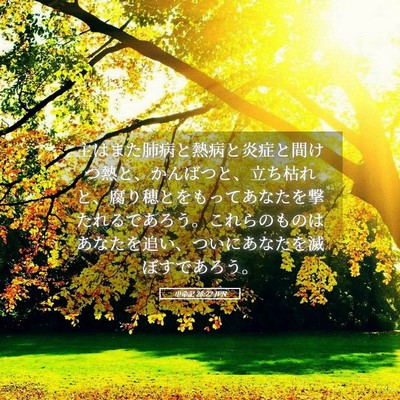 Picture 05 - 申命記 28:22 JPN - 主はまた肺病と熱病と炎症と間けつ - Bible Verse Picture
