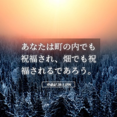 Picture 05 - 申命記 28:3 JPN - あなたは町の内でも祝福され、畑で - Bible Verse Picture