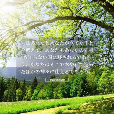 Picture 05 - 申命記 28:36 JPN - 主はあなたとあなたが立てた王とを - Bible Verse Picture