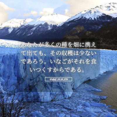 Picture 05 - 申命記 28:38 JPN - あなたが多くの種を畑に携えて出て - Bible Verse Picture