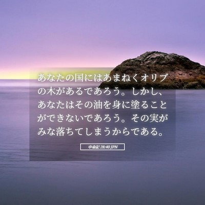 Picture 05 - 申命記 28:40 JPN - あなたの国にはあまねくオリブの木 - Bible Verse Picture