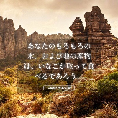 Picture 05 - 申命記 28:42 JPN - あなたのもろもろの木、および地の - Bible Verse Picture