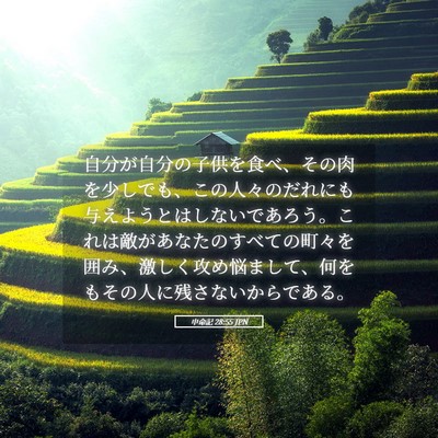 Picture 05 - 申命記 28:55 JPN - 自分が自分の子供を食べ、その肉を - Bible Verse Picture