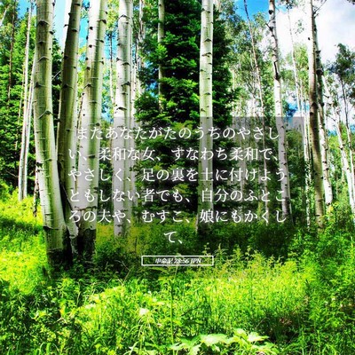 Picture 05 - 申命記 28:56 JPN - またあなたがたのうちのやさしい、 - Bible Verse Picture