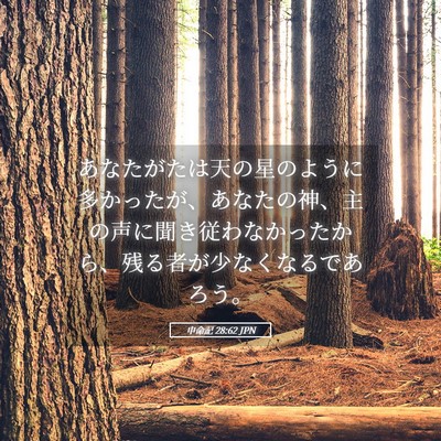 Picture 05 - 申命記 28:62 JPN - あなたがたは天の星のように多かっ - Bible Verse Picture