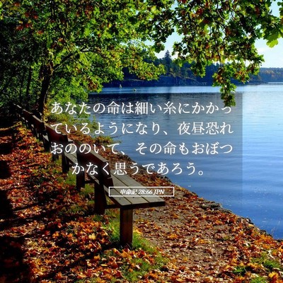 Picture 05 - 申命記 28:66 JPN - あなたの命は細い糸にかかっている - Bible Verse Picture