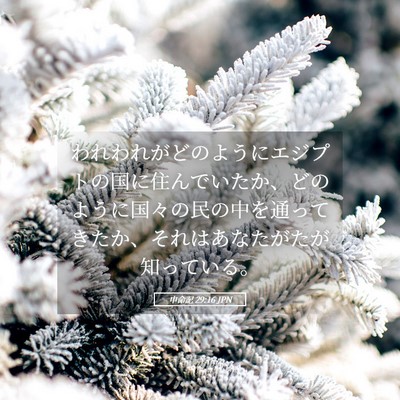 Picture 05 - 申命記 29:16 JPN - われわれがどのようにエジプトの国 - Bible Verse Picture
