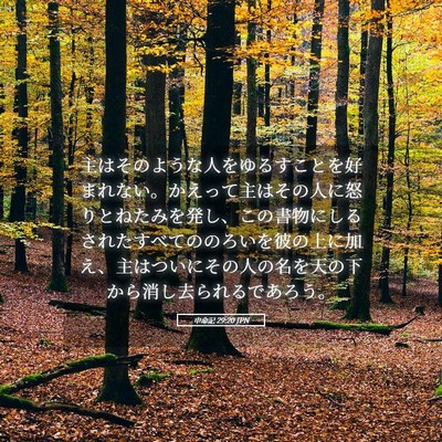 Picture 05 - 申命記 29:20 JPN - 主はそのような人をゆるすことを好 - Bible Verse Picture