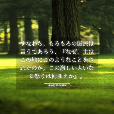 Picture 05 - 申命記 29:24 JPN - すなわち、もろもろの国民は言うで - Bible Verse Picture