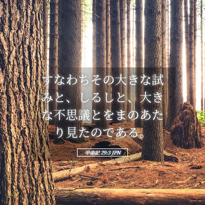 Picture 05 - 申命記 29:3 JPN - すなわちその大きな試みと、しるし - Bible Verse Picture