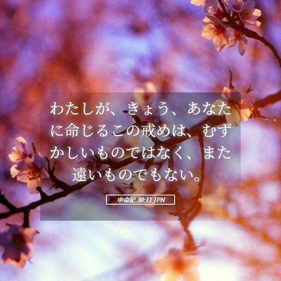 Picture 05 - 申命記 30:11 JPN - わたしが、きょう、あなたに命じる - Bible Verse Picture
