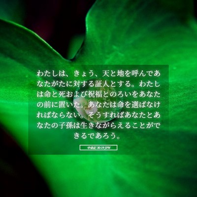 Picture 05 - 申命記 30:19 JPN - わたしは、きょう、天と地を呼んで - Bible Verse Picture
