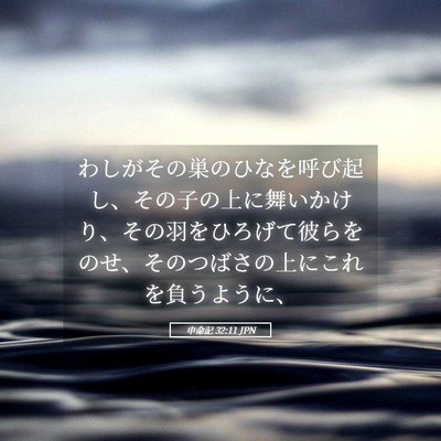 Picture 05 - 申命記 32:11 JPN - わしがその巣のひなを呼び起し、そ - Bible Verse Picture