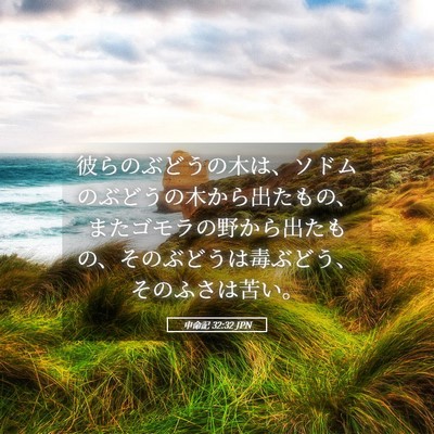 Picture 05 - 申命記 32:32 JPN - 彼らのぶどうの木は、ソドムのぶど - Bible Verse Picture