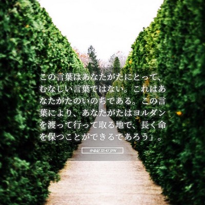 Picture 05 - 申命記 32:47 JPN - この言葉はあなたがたにとって、む - Bible Verse Picture