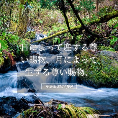 Picture 05 - 申命記 33:14 JPN - 日によって産する尊い賜物、月によ - Bible Verse Picture