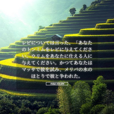 Picture 05 - 申命記 33:8 JPN - レビについては言った、「あなたの - Bible Verse Picture