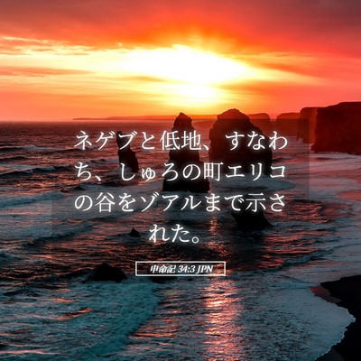 Picture 05 - 申命記 34:3 JPN - ネゲブと低地、すなわち、しゅろの - Bible Verse Picture