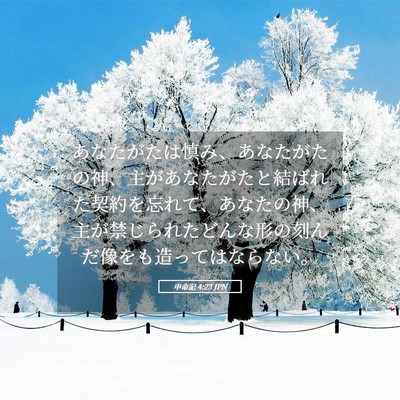 Picture 05 - 申命記 4:23 JPN - あなたがたは慎み、あなたがたの神 - Bible Verse Picture