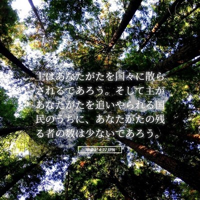 Picture 05 - 申命記 4:27 JPN - 主はあなたがたを国々に散らされる - Bible Verse Picture