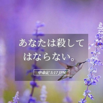 Picture 05 - 申命記 5:17 JPN - あなたは殺してはならない。 - Bible Verse Picture