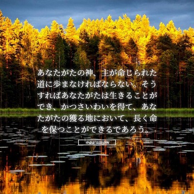 Picture 05 - 申命記 5:33 JPN - あなたがたの神、主が命じられた道 - Bible Verse Picture