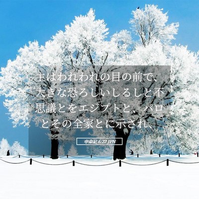 Picture 05 - 申命記 6:22 JPN - 主はわれわれの目の前で、大きな恐 - Bible Verse Picture
