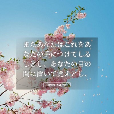 Picture 05 - 申命記 6:8 JPN - またあなたはこれをあなたの手につ - Bible Verse Picture