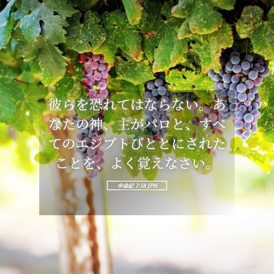 Picture 05 - 申命記 7:18 JPN - 彼らを恐れてはならない。あなたの - Bible Verse Picture