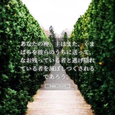 Picture 05 - 申命記 7:20 JPN - あなたの神、主はまた、くまばちを - Bible Verse Picture
