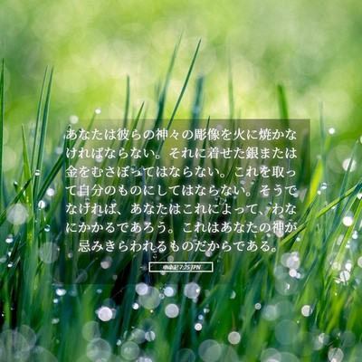 Picture 05 - 申命記 7:25 JPN - あなたは彼らの神々の彫像を火に焼 - Bible Verse Picture