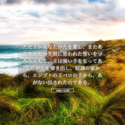Picture 05 - 申命記 7:8 JPN - ただ主があなたがたを愛し、またあ - Bible Verse Picture