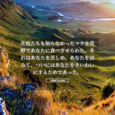 Picture 05 - 申命記 8:16 JPN - 先祖たちも知らなかったマナを荒野 - Bible Verse Picture