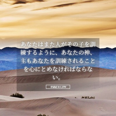 Picture 05 - 申命記 8:5 JPN - あなたはまた人がその子を訓練する - Bible Verse Picture