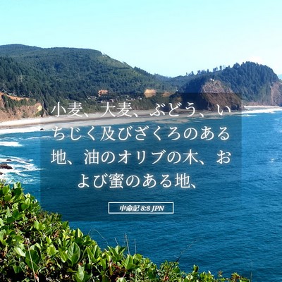 Picture 05 - 申命記 8:8 JPN - 小麦、大麦、ぶどう、いちじく及び - Bible Verse Picture