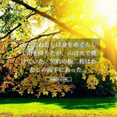 Picture 05 - 申命記 9:15 JPN - そこでわたしは身をめぐらして山を - Bible Verse Picture
