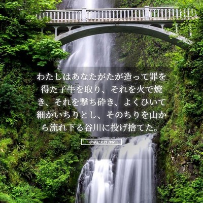 Picture 05 - 申命記 9:21 JPN - わたしはあなたがたが造って罪を得 - Bible Verse Picture
