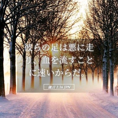 Picture 05 - 箴言 1:16 JPN - 彼らの足は悪に走り、血を流すこと - Bible Verse Picture