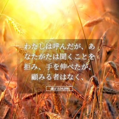 Picture 05 - 箴言 1:24 JPN - わたしは呼んだが、あなたがたは聞 - Bible Verse Picture